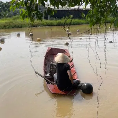 3 Lý Do Nên Chọn Trang Sức Ngọc Trai Nước Ngọt Giá Rẻ Tại Pearl Farm